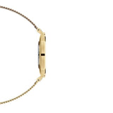  Shop Authentic Daniel Wellington Classic Petite Evergold White Dial Gold Mesh Bracelet Watch For Women - DW00100346 - Luxxuri