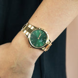  Shop Authentic Daniel Wellington Iconic Link Emerald Green Dial Rose Gold Steel Strap Watch For Women - DW00100419 - Luxxuri
