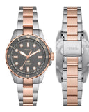  Shop Authentic Fossil Blue Dive Three Hand Gray Dial Two Tone Steel Strap Watch For Women - ES5348 - Luxxuri