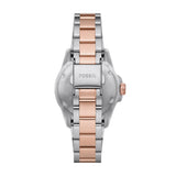  Shop Authentic Fossil Blue Dive Three Hand Gray Dial Two Tone Steel Strap Watch For Women - ES5348 - Luxxuri
