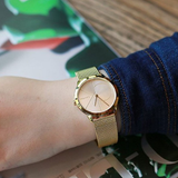  Shop Authentic Calvin Klein Minimal Silver Dial Gold Mesh Bracelet Watch for Women - K3M22526 - Luxxuri