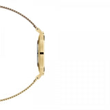  Shop Authentic Daniel Wellington Classic Petite Evergold Black Dial Gold Mesh Bracelet Watch For Women - DW00100349 - Luxxuri
