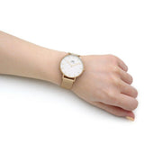  Shop Authentic Daniel Wellington Classic Petite Evergold White Dial Gold Mesh Bracelet Watch For Women - DW00100346 - Luxxuri
