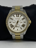  Shop Authentic Fossil Cecile White Dial Two Tone Steel Strap Watch for Women - AM4543 - Luxxuri